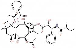 Paclitaxel EP Impurity H